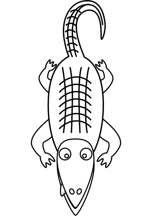 kolorowanka Aligator