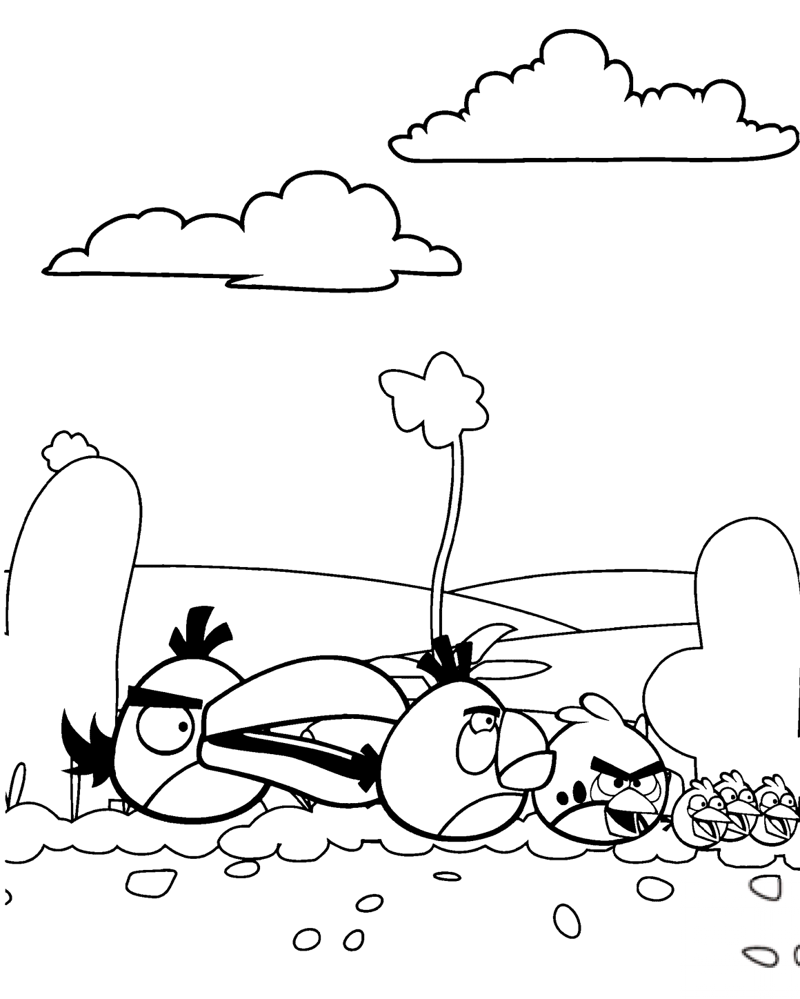 Stado Angry Birds na pustyni