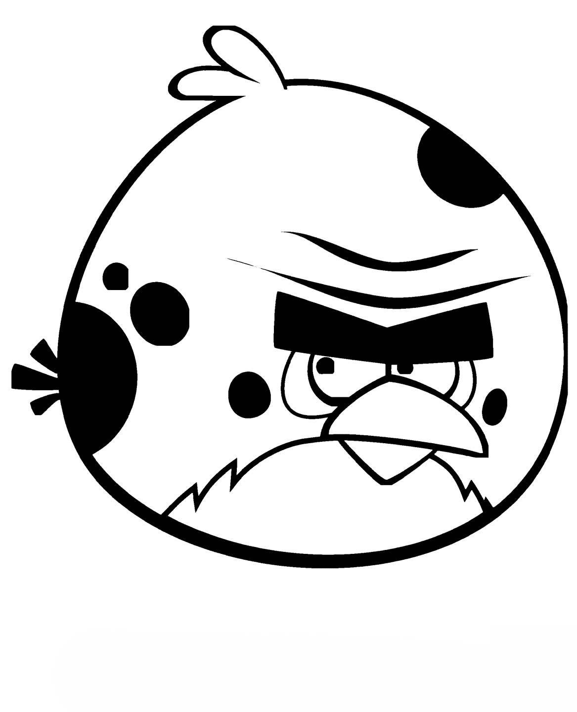 Ptak Terence