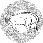 Buffalo Mandala