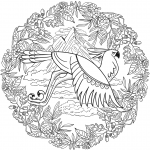Eagle Mandala