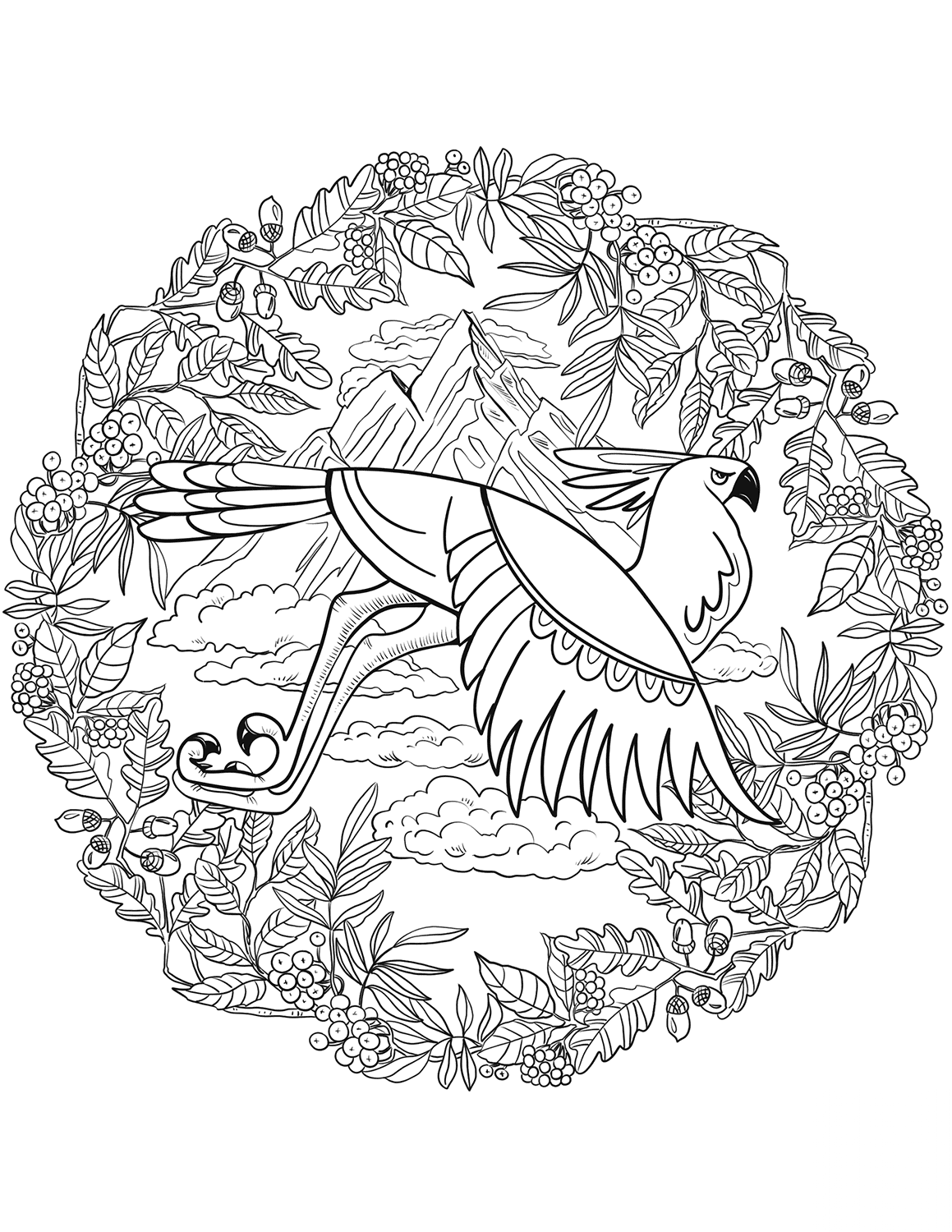 Eagle Mandala