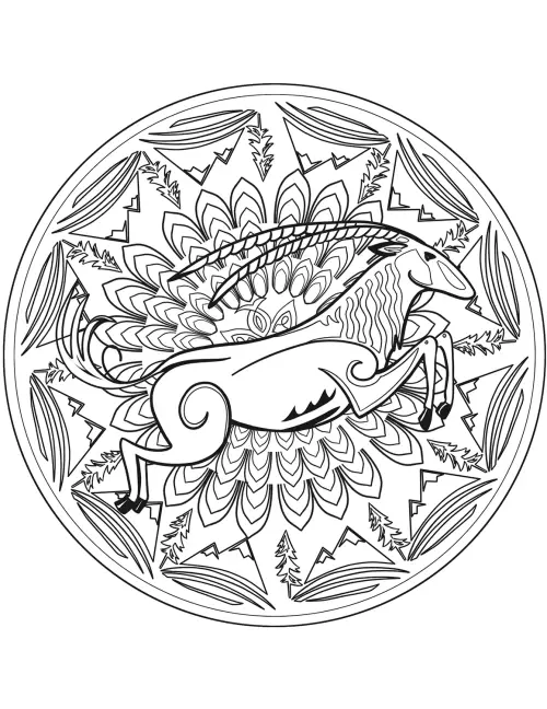 kolorowanka Animal mandalas