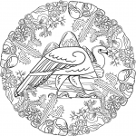Vulture Mandala