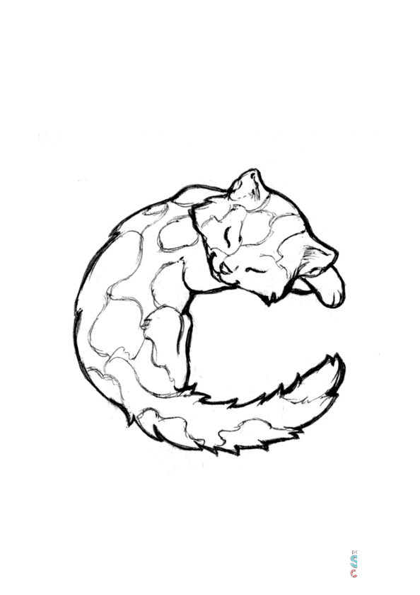 C is for Cat