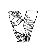 V is for Vulture