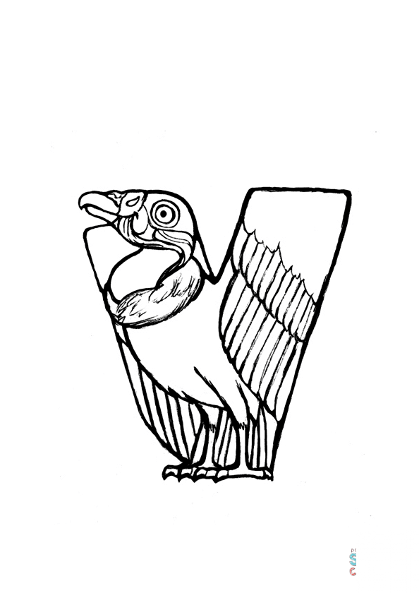 V is for Vulture