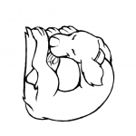 D is for Dog