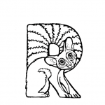 R is for Ringtail