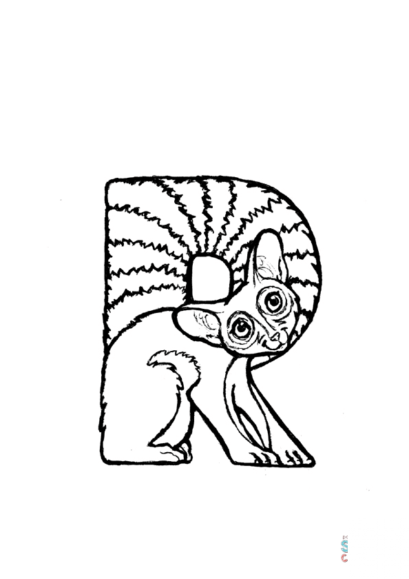 R is for Ringtail