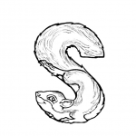 S is for Squirrel