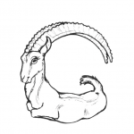 G is for Goat