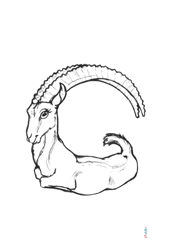 G is for Goat