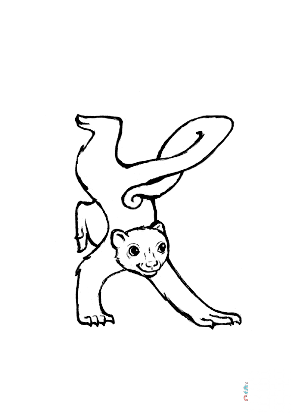 K is for Kinkajou