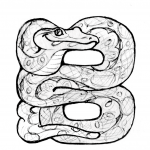 B is for Boa