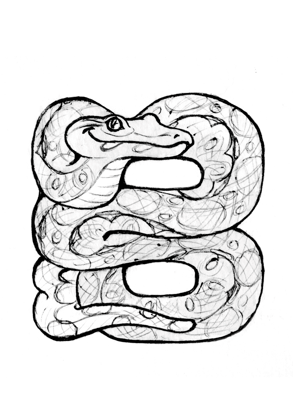 B is for Boa