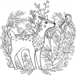 Fawn