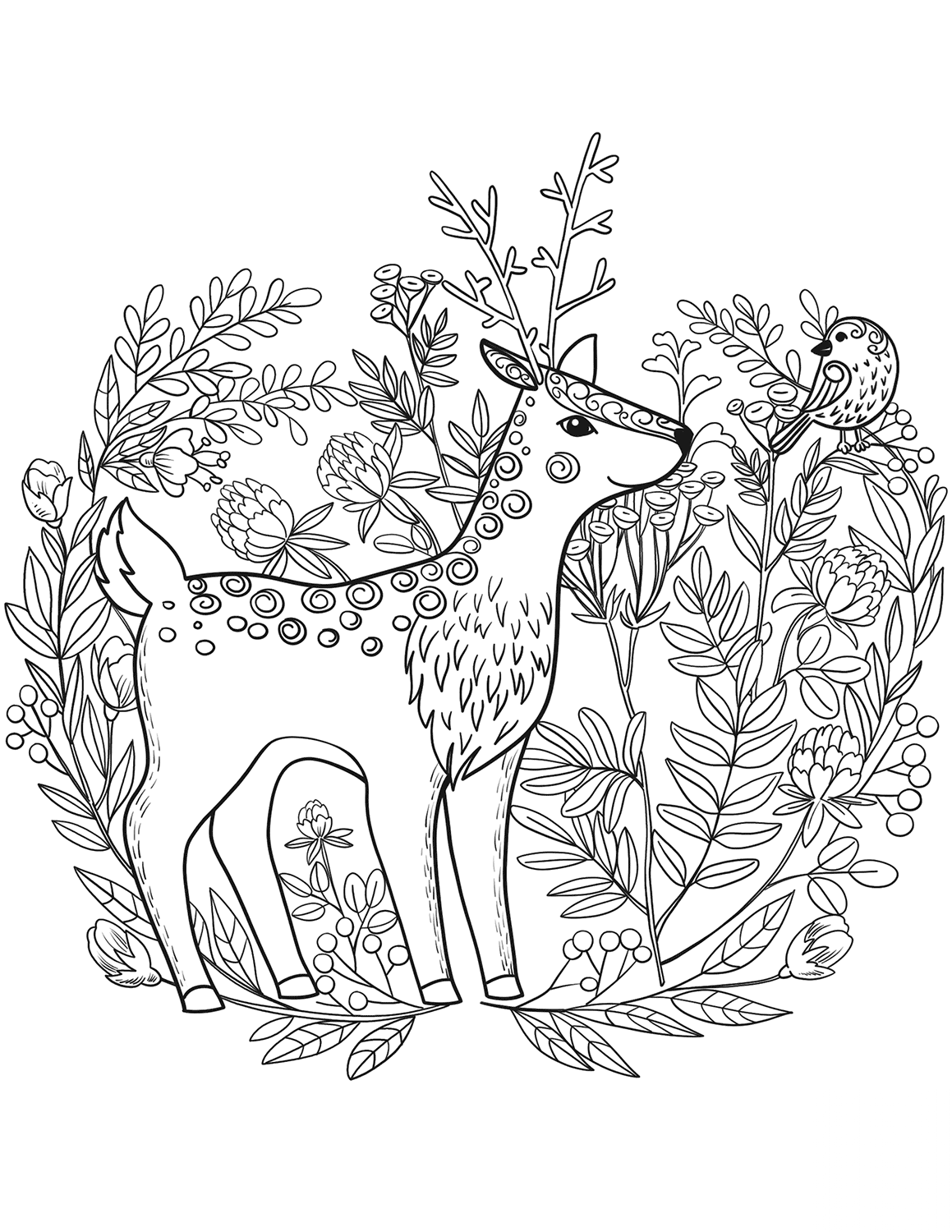 Fawn