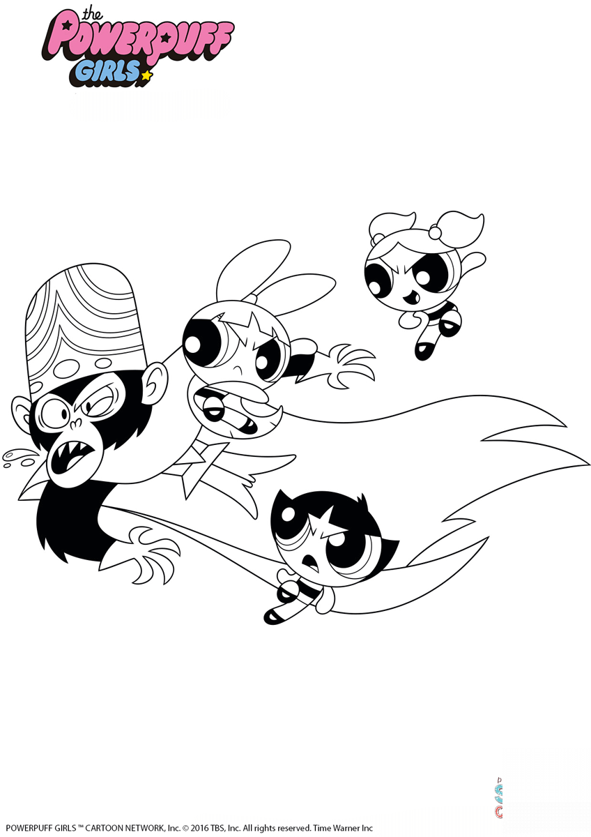 PPG vs Monkey See, Doggie Do