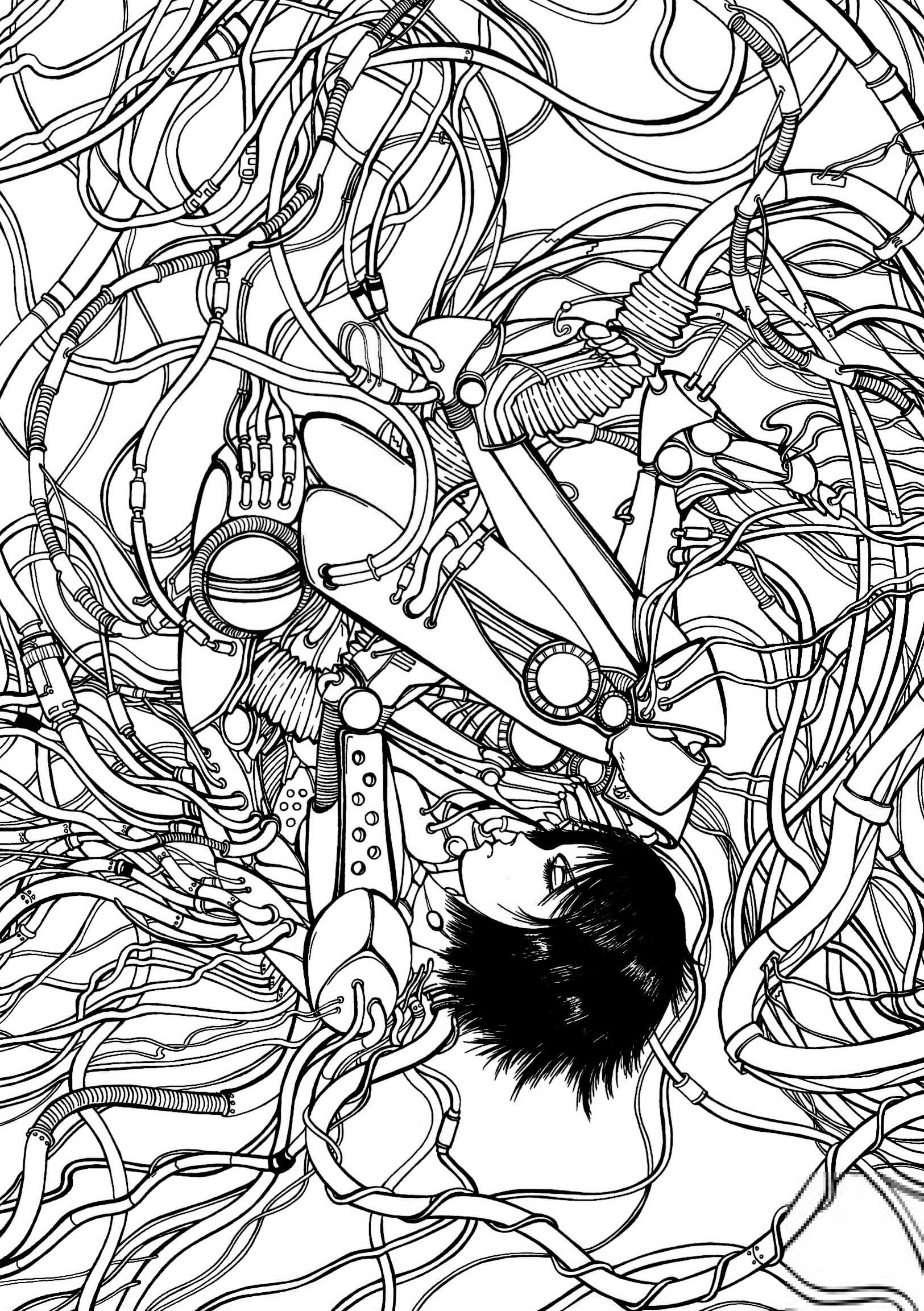 Gally from Gunnm Battle Angel Alita