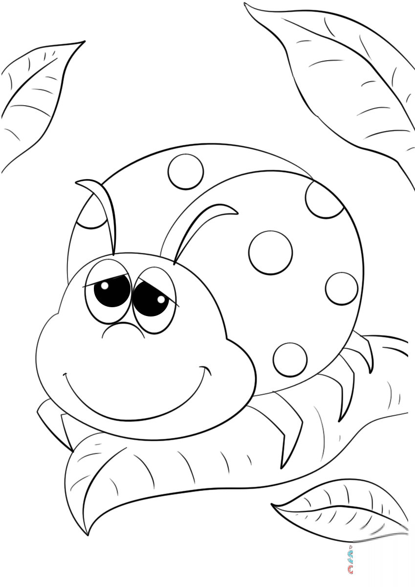 Cute Cartoon Ladybug