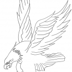 Bald Eagle Attacking