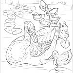 Mother Duck with Ducklings