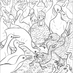 Ducks on Farmyard were Unkind to...