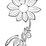 Dalia