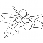 Holly