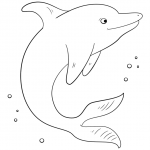 Cute Dolphin