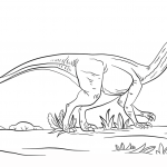Muszaur