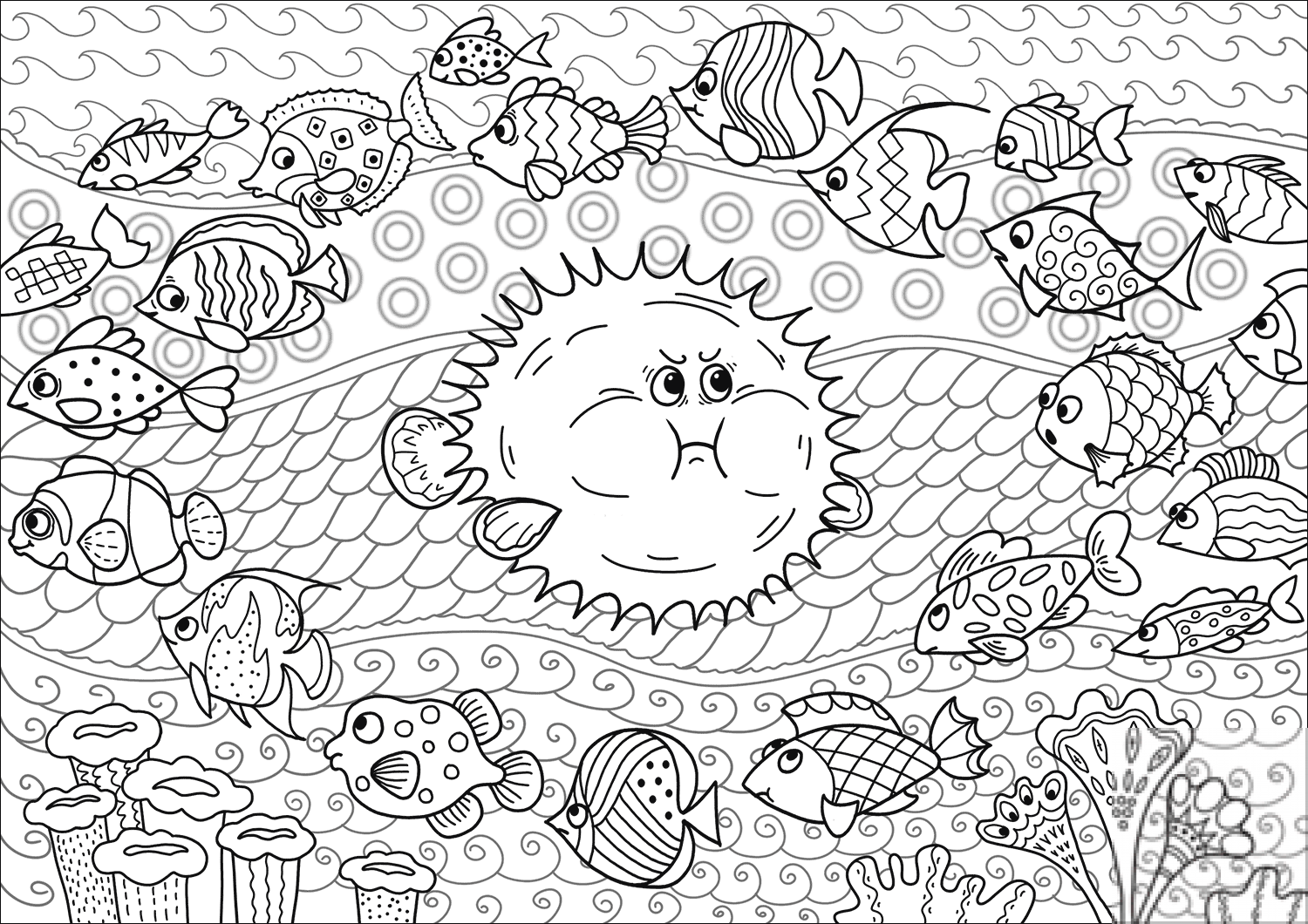 Angry Porcupine Fish