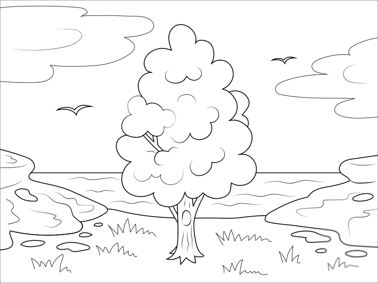 kolorowanka Drzewa & liście