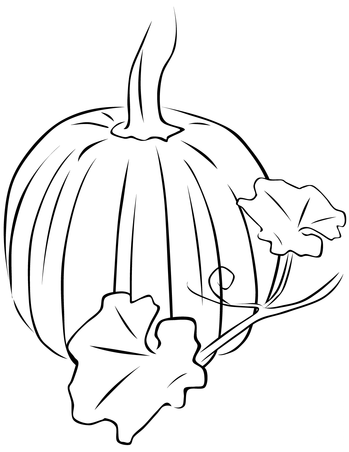 Pumpkin with Leaves