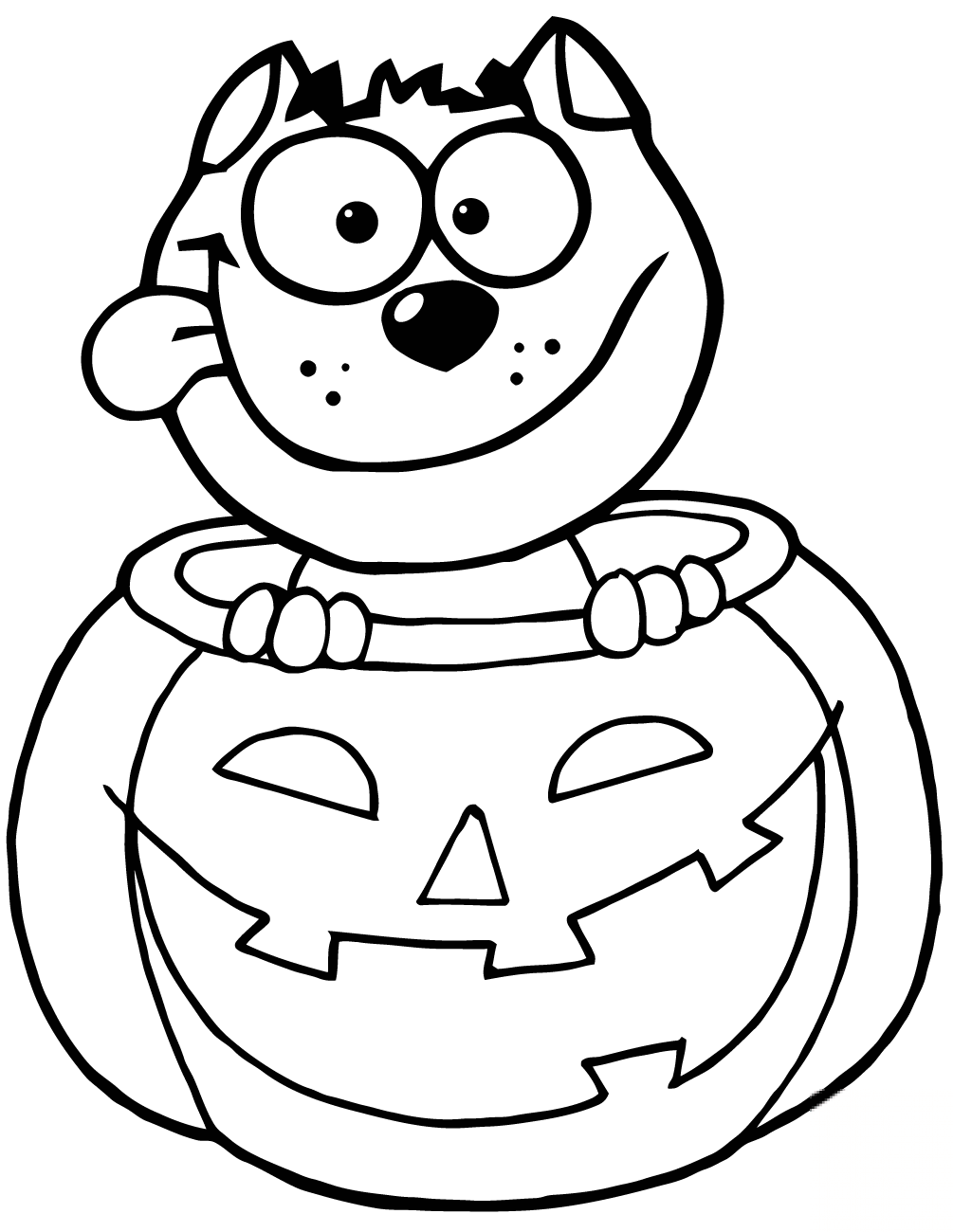 Black Cat Sitting Inside of a Pumpkin