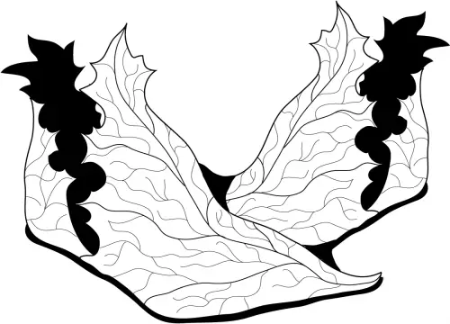kolorowanka Elf