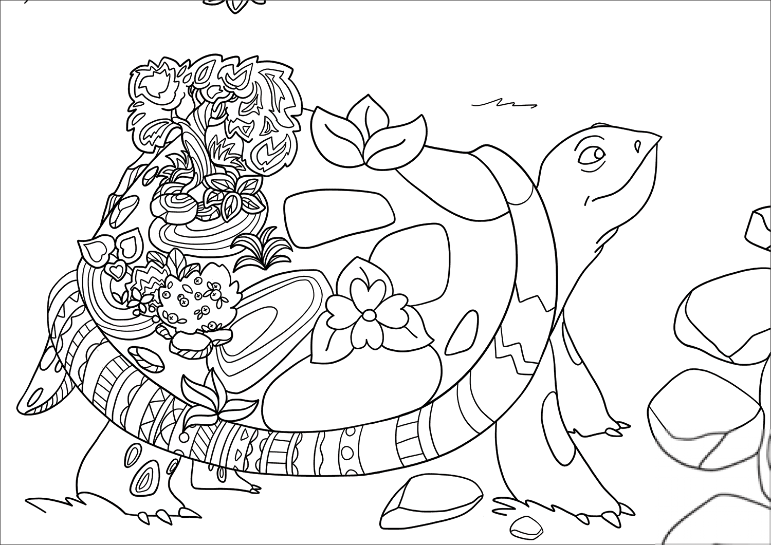Magic Turtle