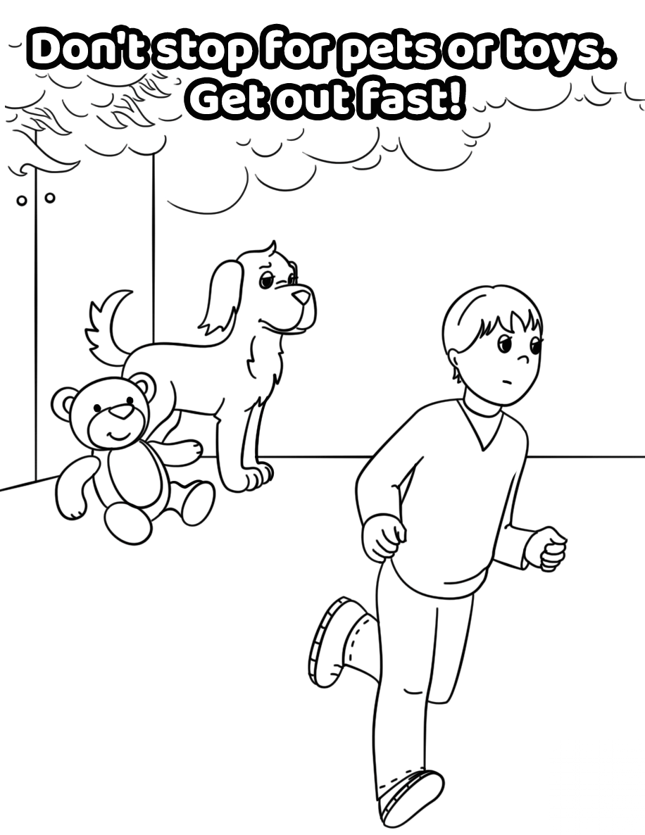 Don't Stop for Pets or Toys