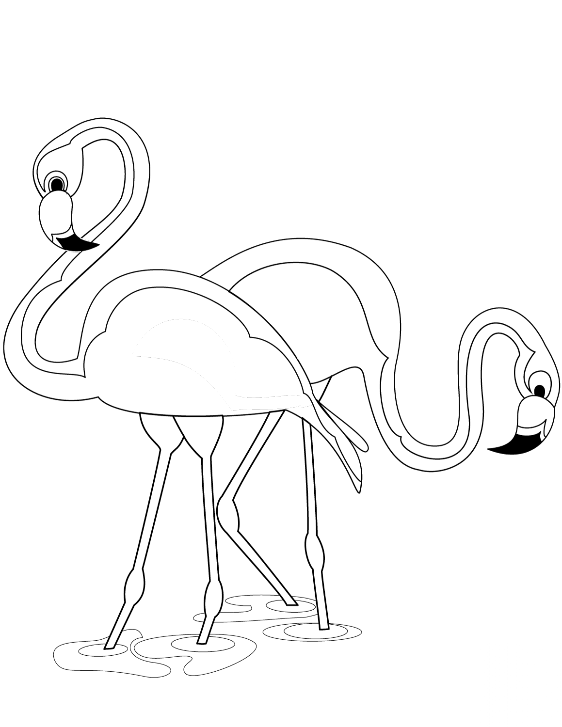 Two Flamingos