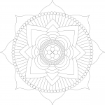 Lotus Mandala by Michelle Grewe