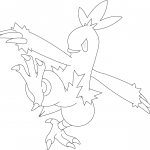 Combusken Pokemon