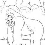 Goryla