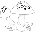 Muchomor czerwony