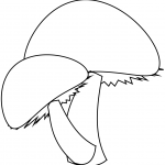 Two Mushrooms