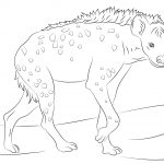 Zaciekawiona hiena cętkowana