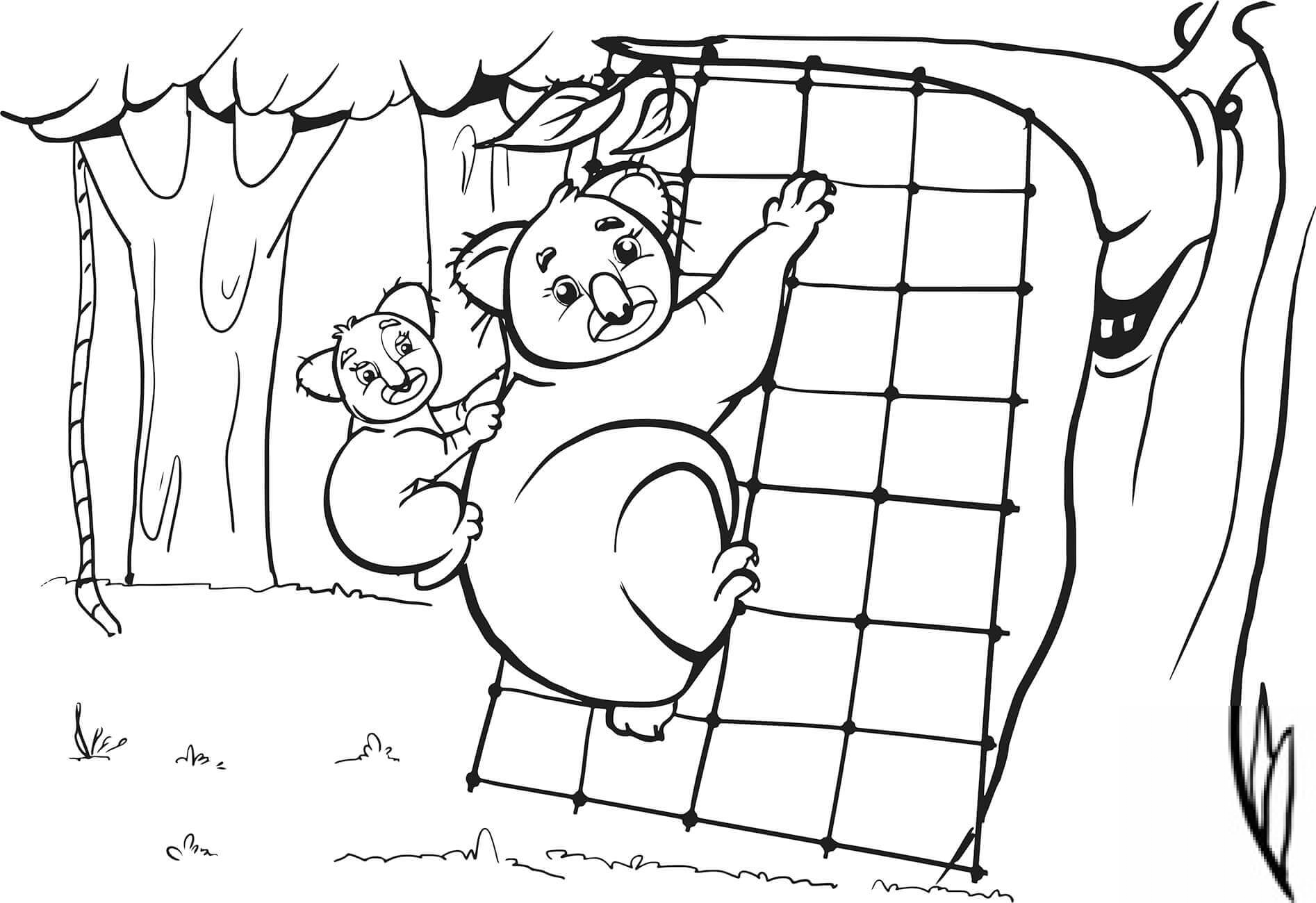 Koala Mother and Her Cub are...