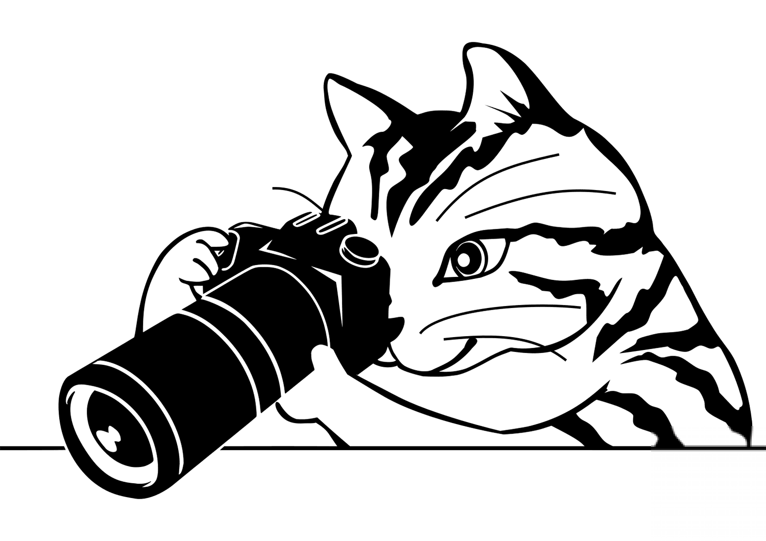 Cat with the Photo Camera