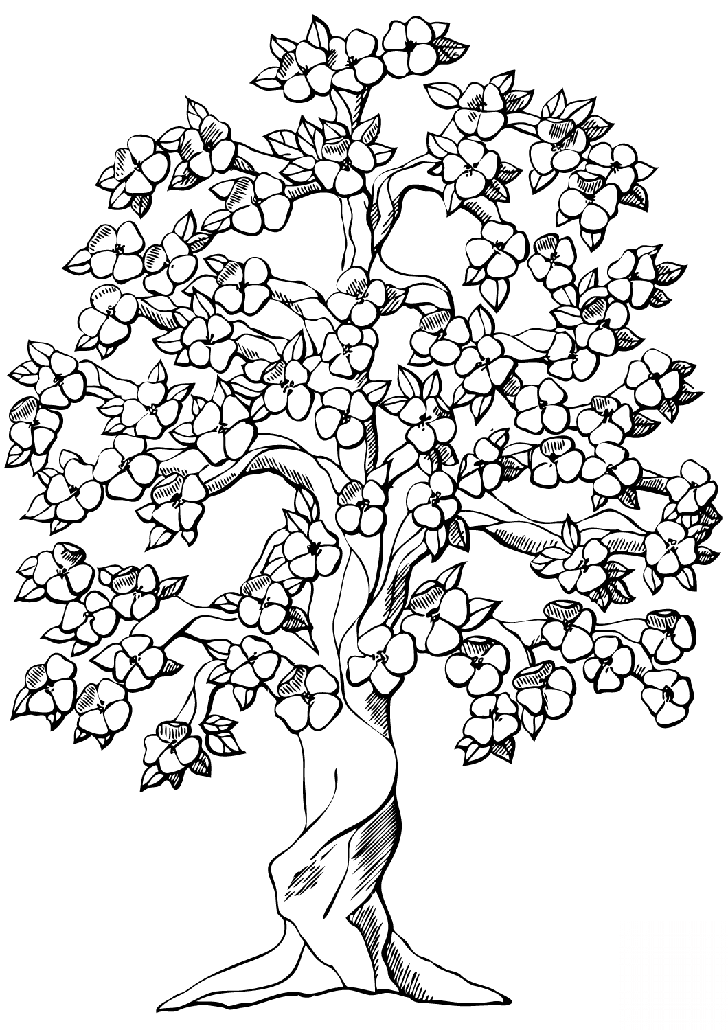 Flowering Apple Tree