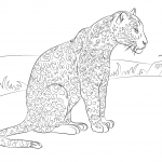 Uroczy jaguar